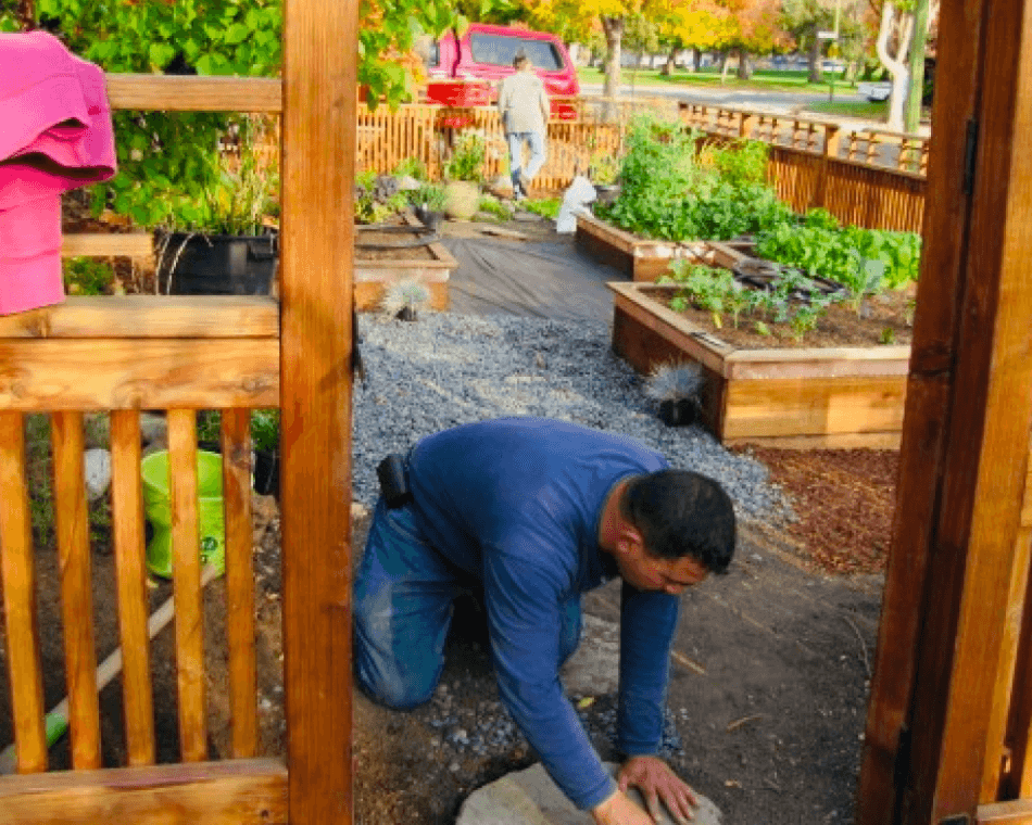 Japanese style front yard landscape garden installation with vegetable beds, fruit trees in San Jose, California.