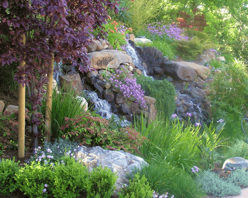 Lush landscape garden with aesthetic pruning as an example of garden care for large estates, in Monte Sereno, Saratoga.