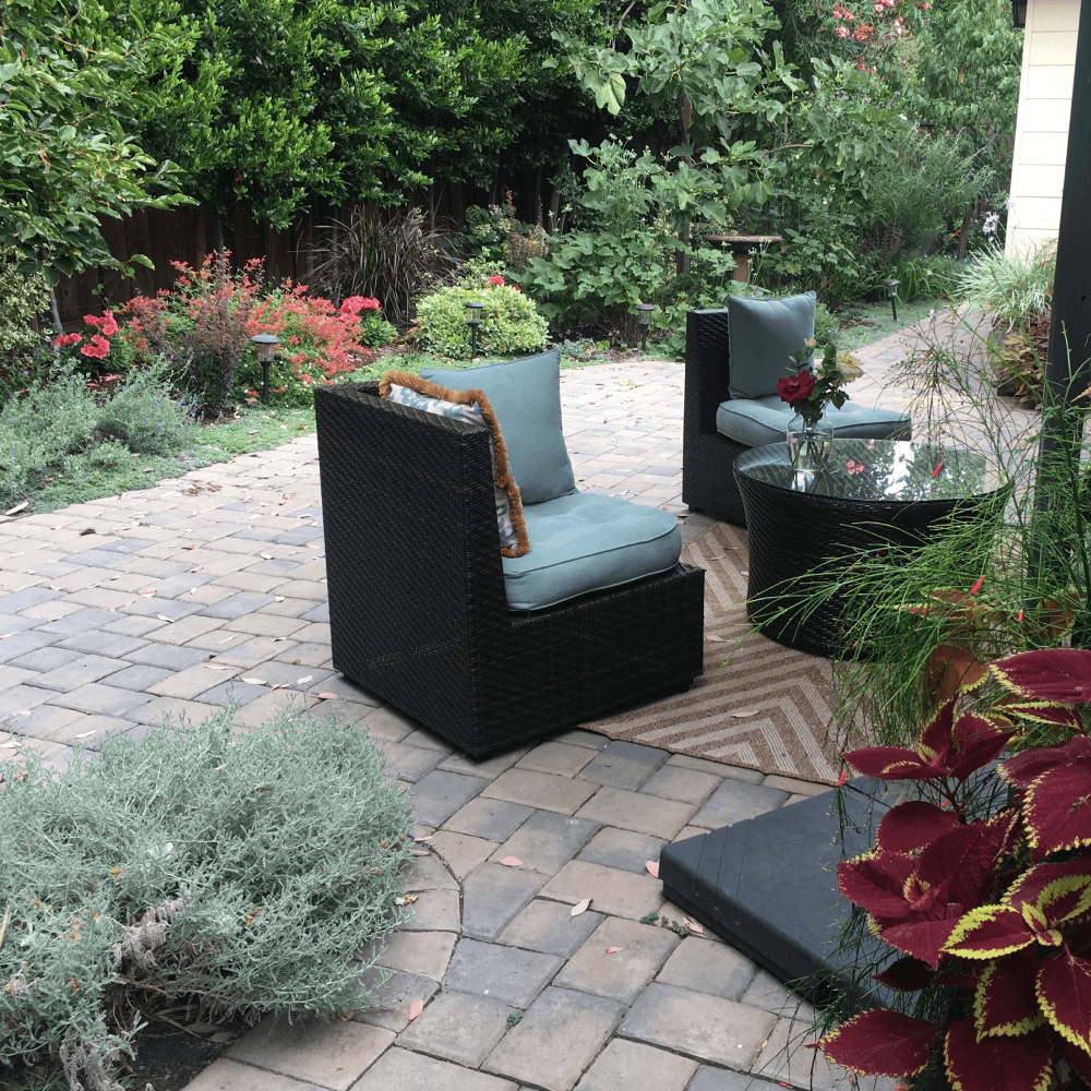 Edible gardens with fig and persimmon trees in an outdoor living and entertainment area with water feature in Palo Alto.